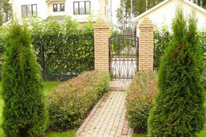 Забор из кирпича, стальной сетки «Рабица» и живой растительной изгороди